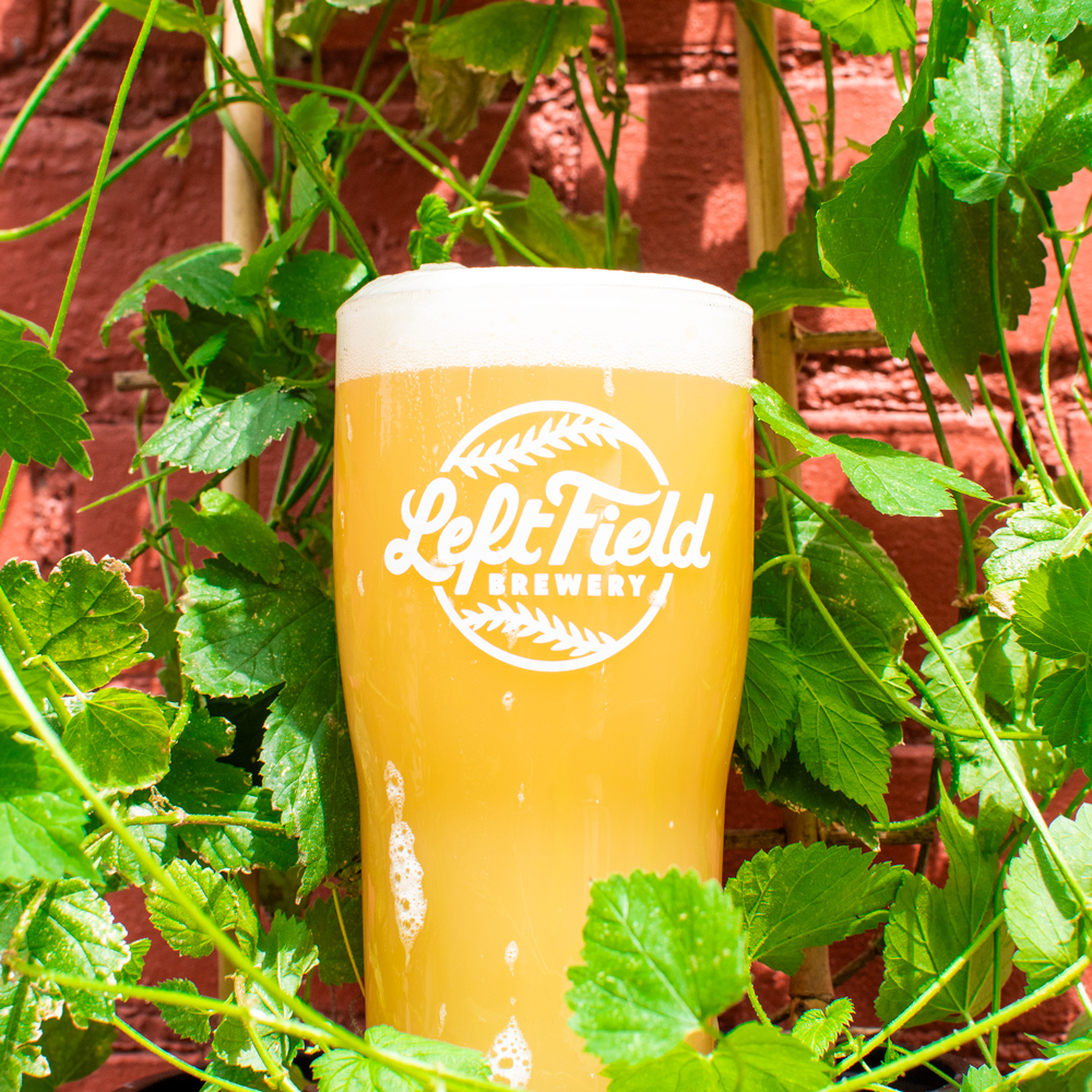 Left Field Brewery ◇ Toronto, Canada